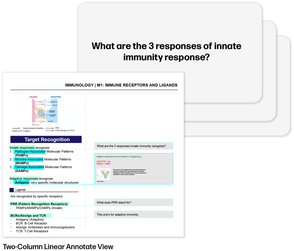 Notedaisy Flashcard Feature