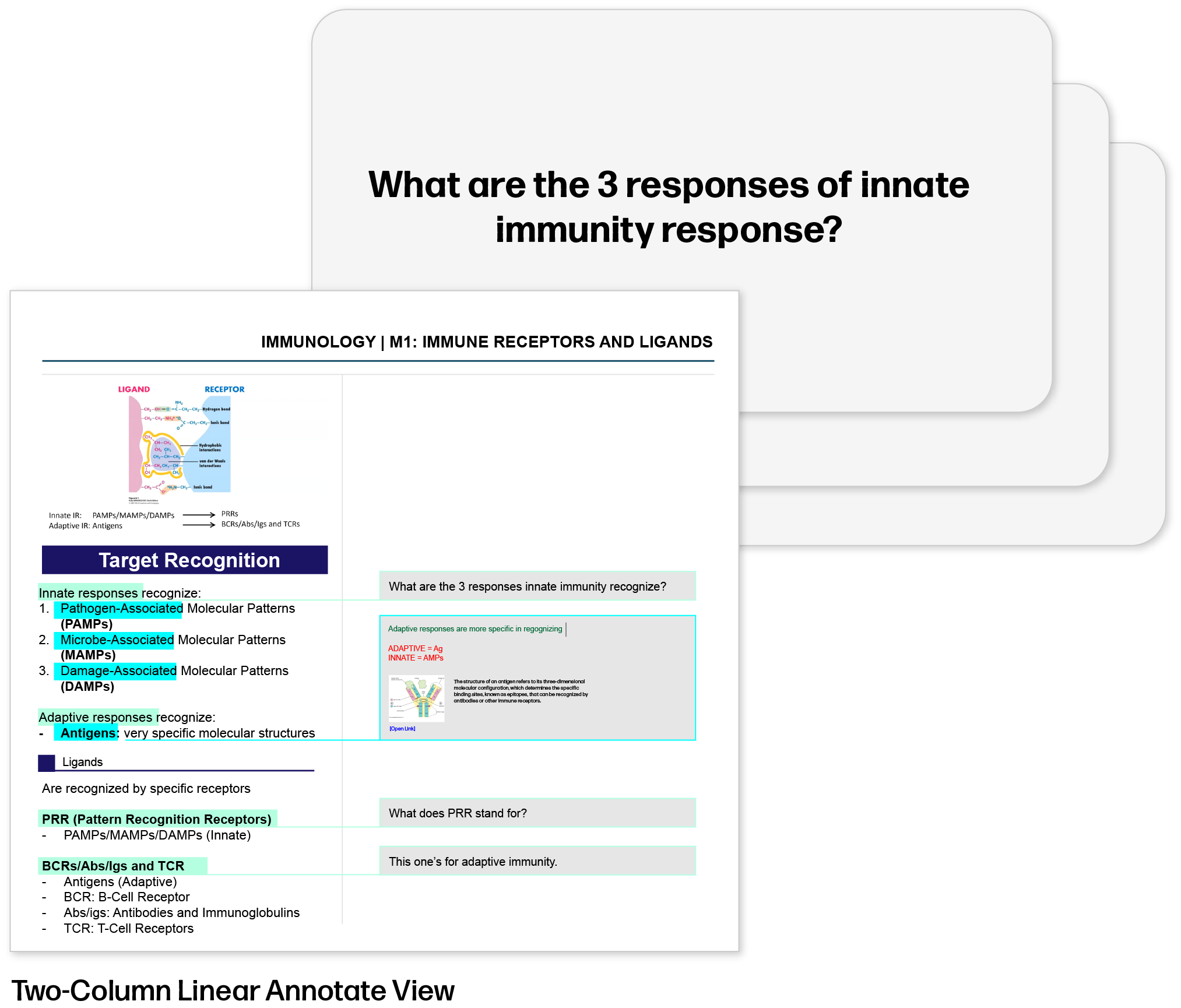 Notedaisy Flashcard Feature