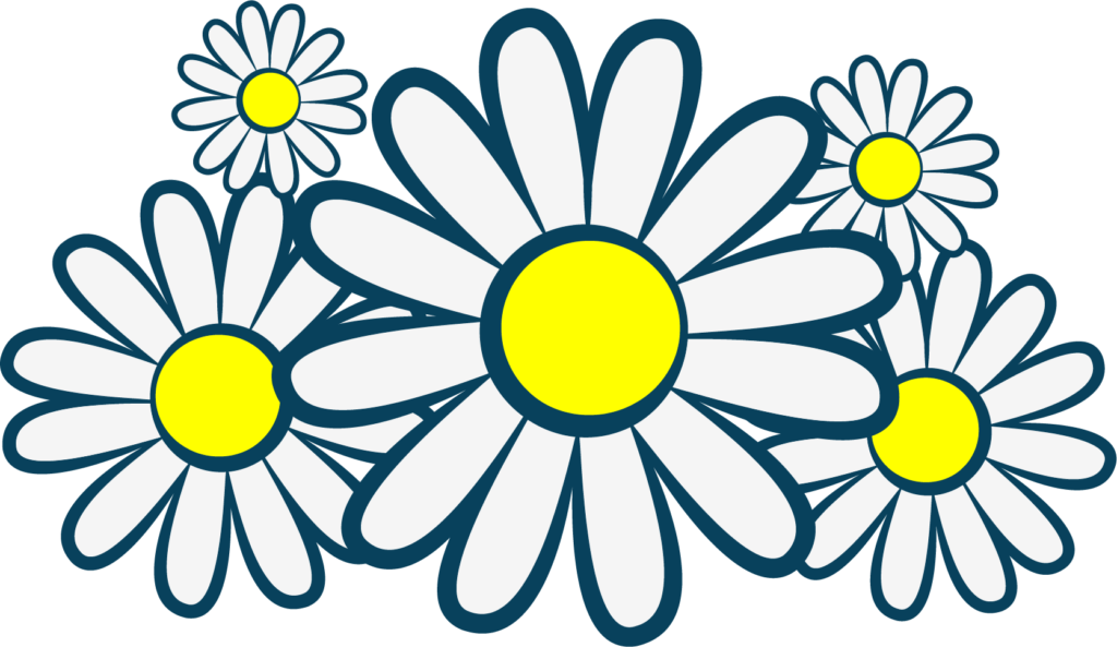 Notedaisy daisy vector