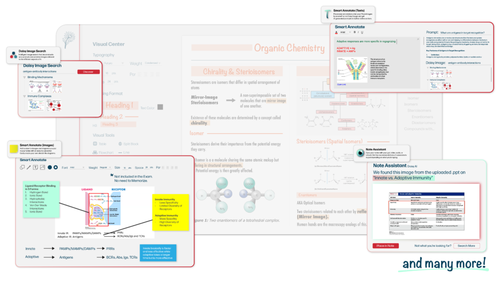 Notedaisy Visual Learning Tools and AI Note taking Feature Examples