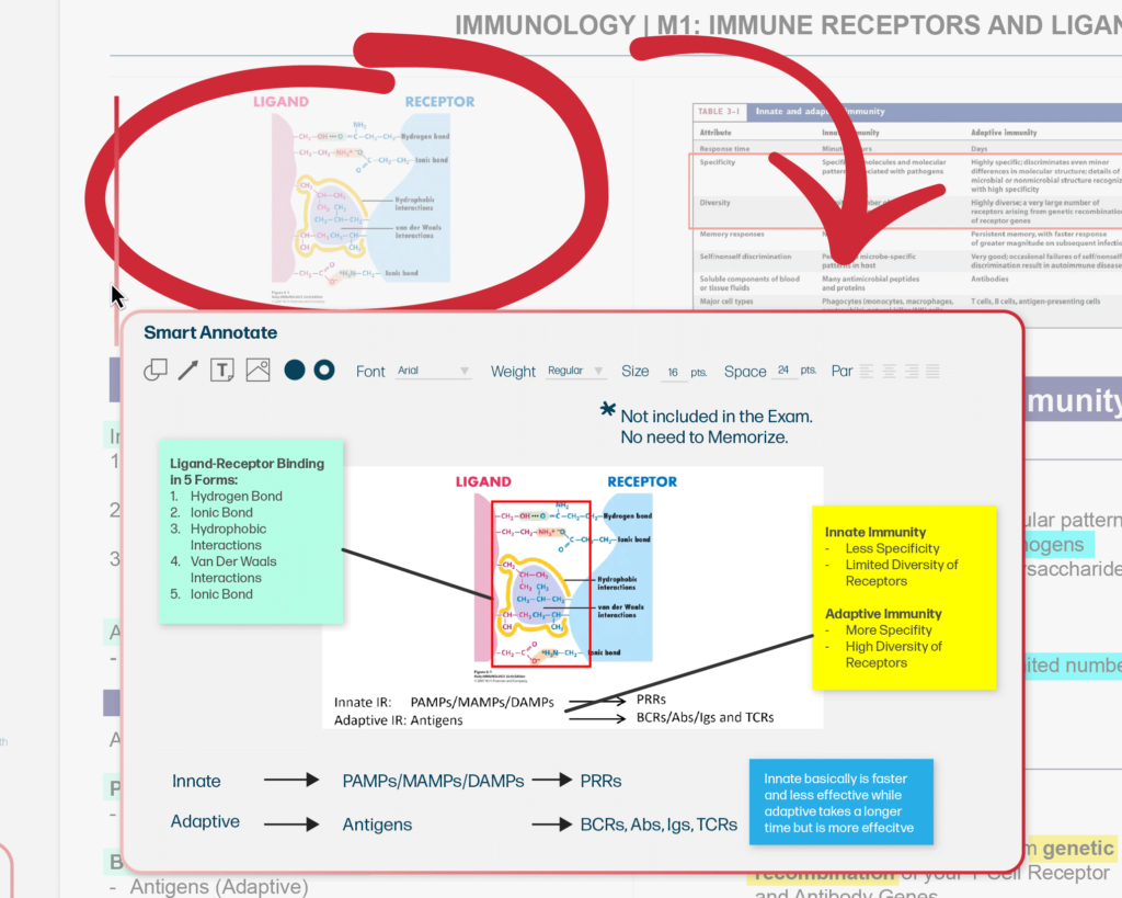 Notedaisy Smart Annotate Image