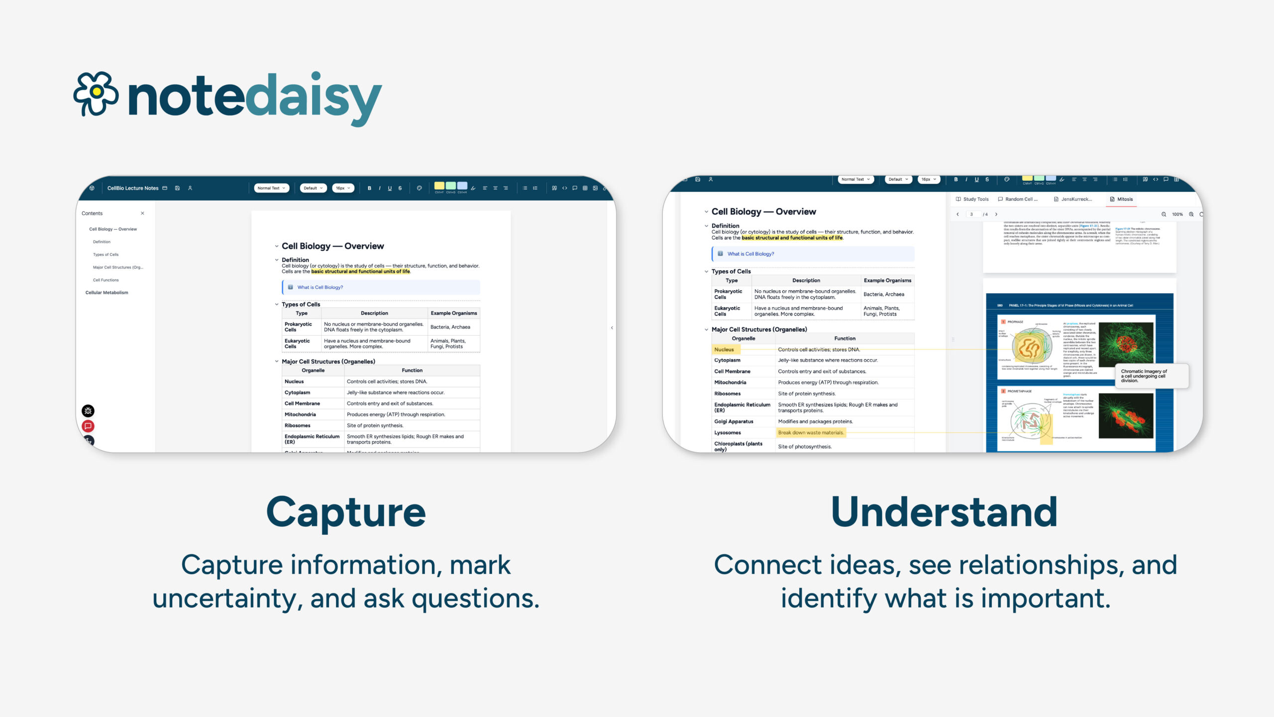 Capture and Recall in the Learning Process