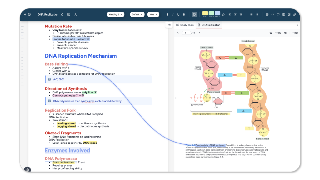 Notedaisy Note Editor and PDF Annotator